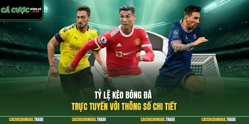 Tỷ lệ kèo bóng đá trực tuyến với thông số chi tiết 
